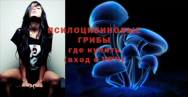 гидропоника Кулебаки