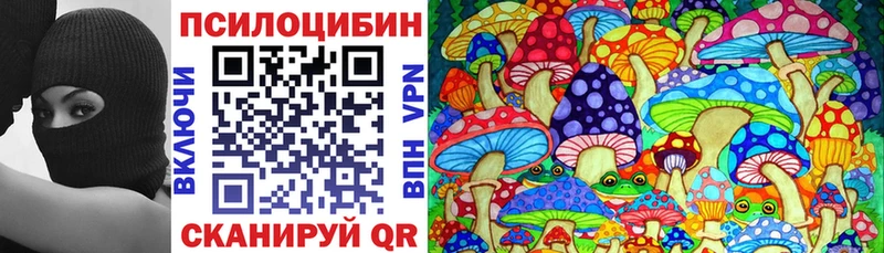 Купить где  Строитель  Псилоцибиновые грибы мицелий 