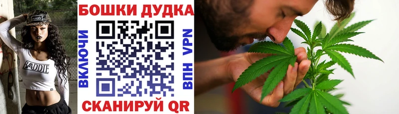 Шишки марихуана сатива  Купить закладки  Строитель 